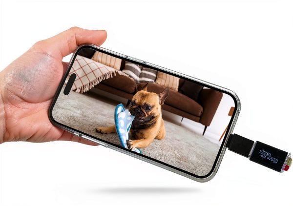 Pavo Cube Camera 1080P Pet Monitor Indoor Security-2