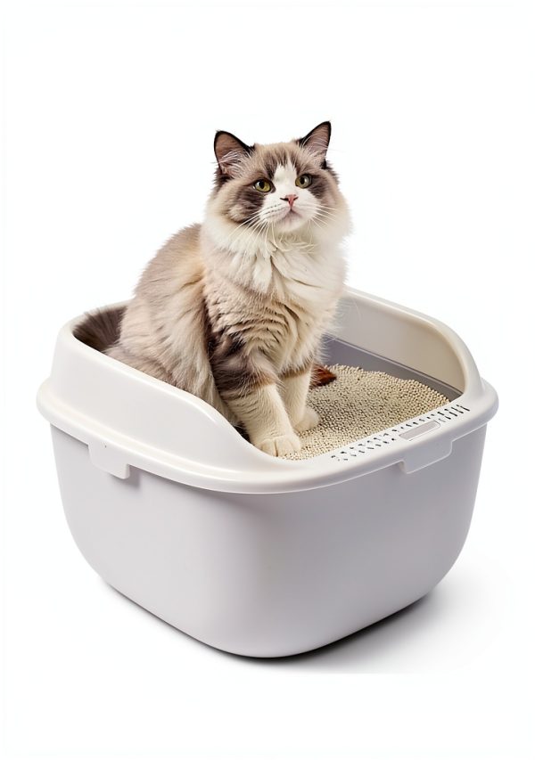 SiiPet LitterLens Cat Health Monitor Camera AI Analysis-1