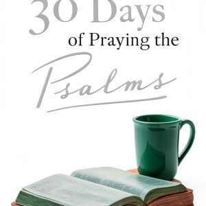 Pentecostal Christianity Kindle Book Destiny Image 292 Pages-0