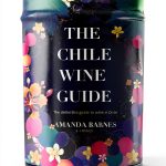 South America Wine Guide Kindle Print Replica-0
