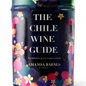 South America Wine Guide Kindle Print Replica-0